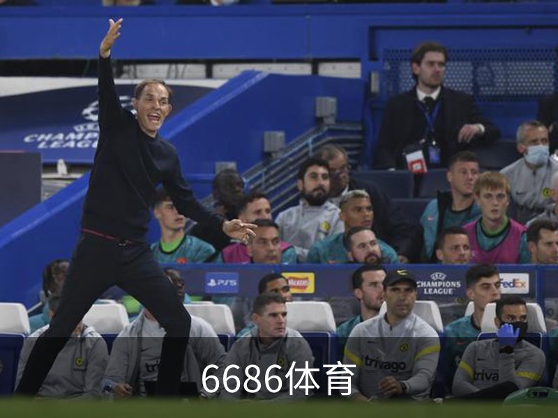 了解6686体育